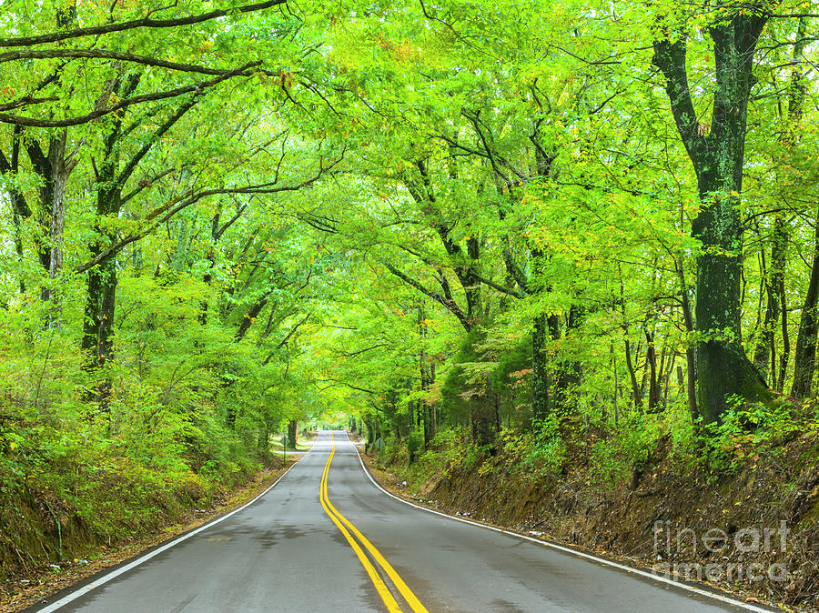 Tennessee backroads #2 Photograph by Ranjay Mitra