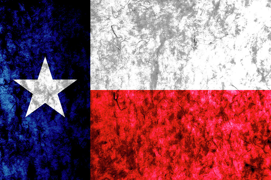 Texas State Flag Photograph