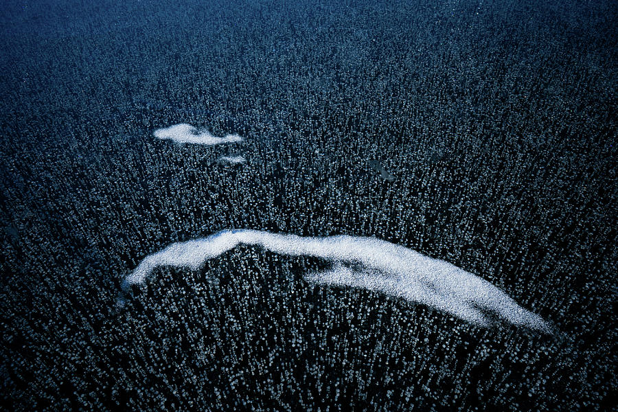 Texture Of Frozen Lake  #2 Photograph by Julieta Belmont