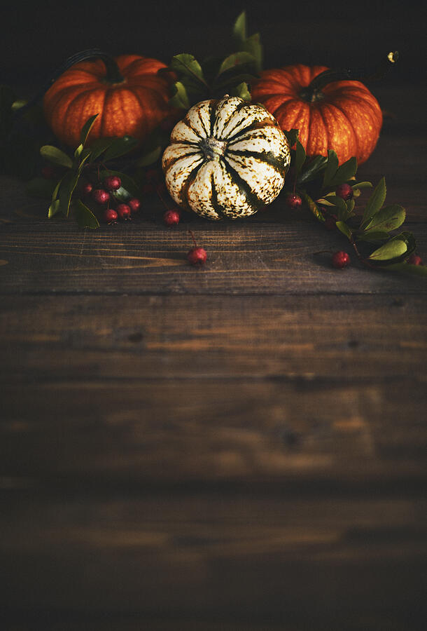 Thanksgiving background with pumpkin variety and berries #2 Photograph by CatLane