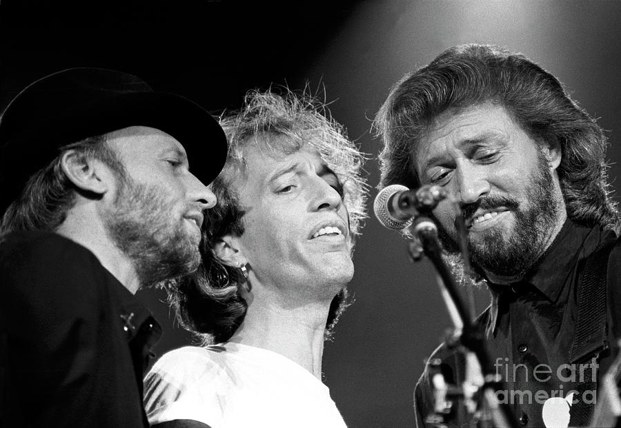 The Bee Gees Photograph by Concert Photos - Fine Art America