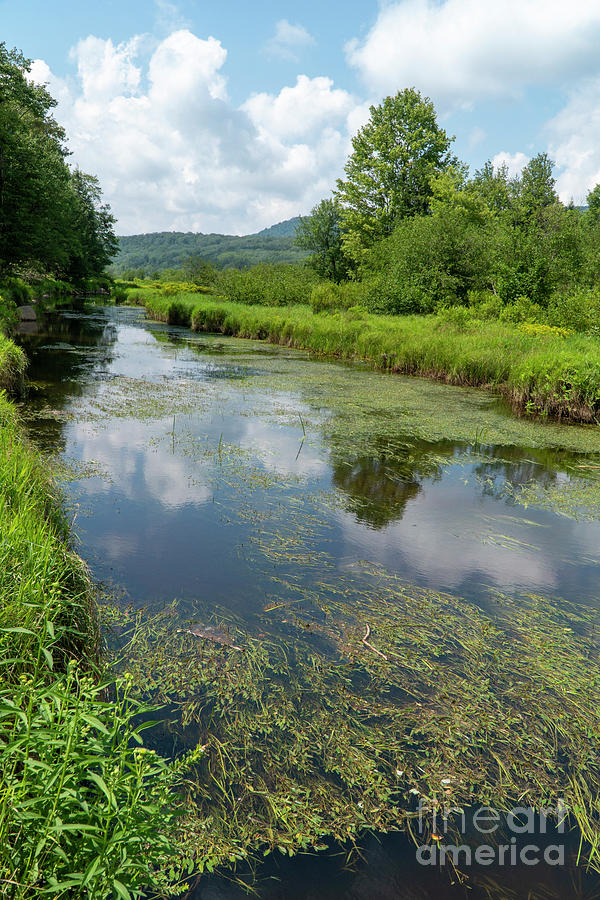 The Blackwater River meanders through wetlands at Canaan Valley  #2 Photograph by William Kuta