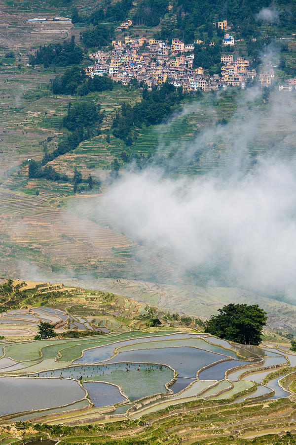 The cloud sea and the terraced fields #2 Photograph by Zhouyousifang