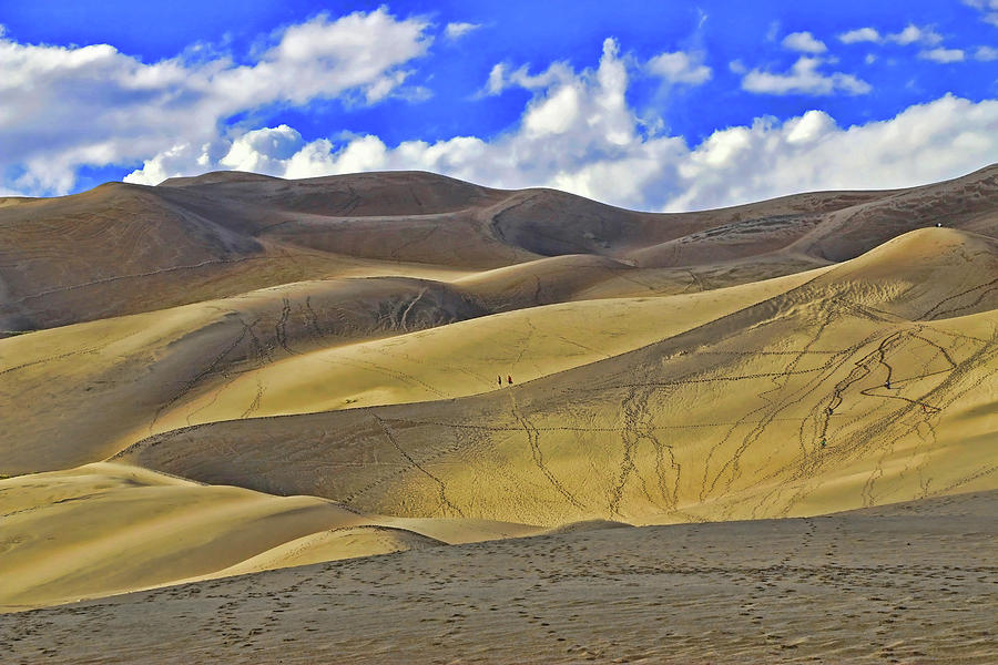 The Great Sand Dunes National Park 2 #2 Photograph by Allen Beatty