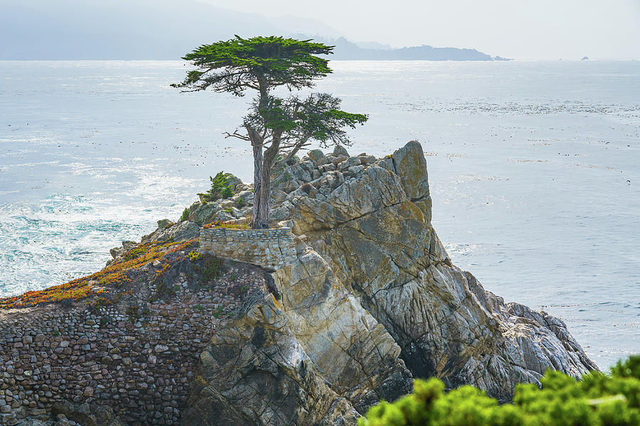 The Lone Cypress on a Rocky Coast. #2 Photograph by Hanna Tor