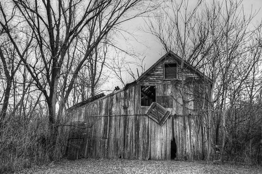 The Old Barn #2 Photograph by Karen McKenzie McAdoo