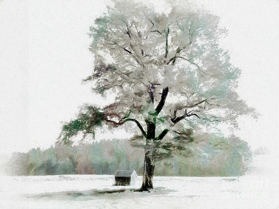 The Old Oak Tree #2 Digital Art by Edmund Nagele FRPS