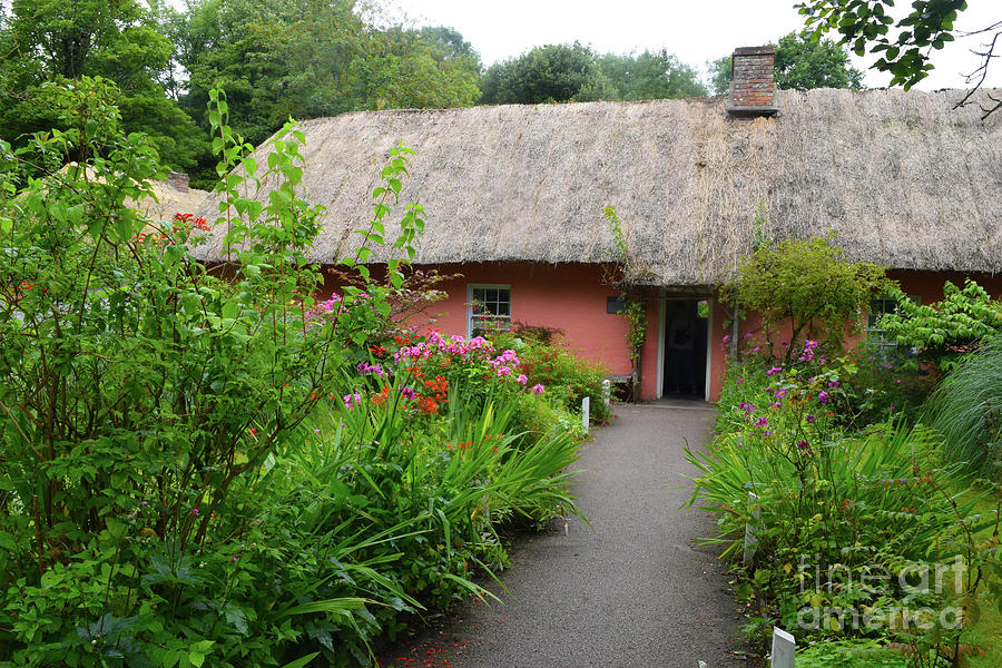 The Old Thatched home #2 Photograph by Joe Cashin