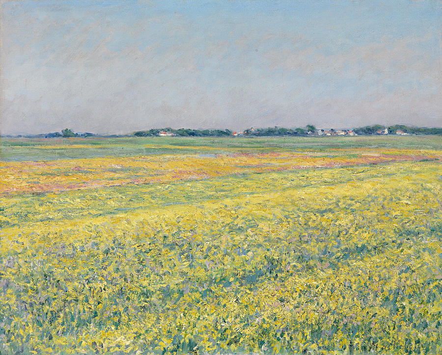 Gustave Caillebotte Painting - The plain of Gennevilliers  yellow fields  #2 by Gustave Caillebotte