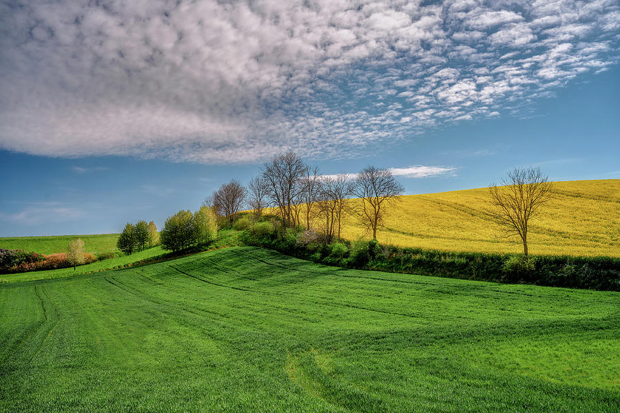 The rural landscape #2 Photograph by Jan Sieminski - Fine Art America