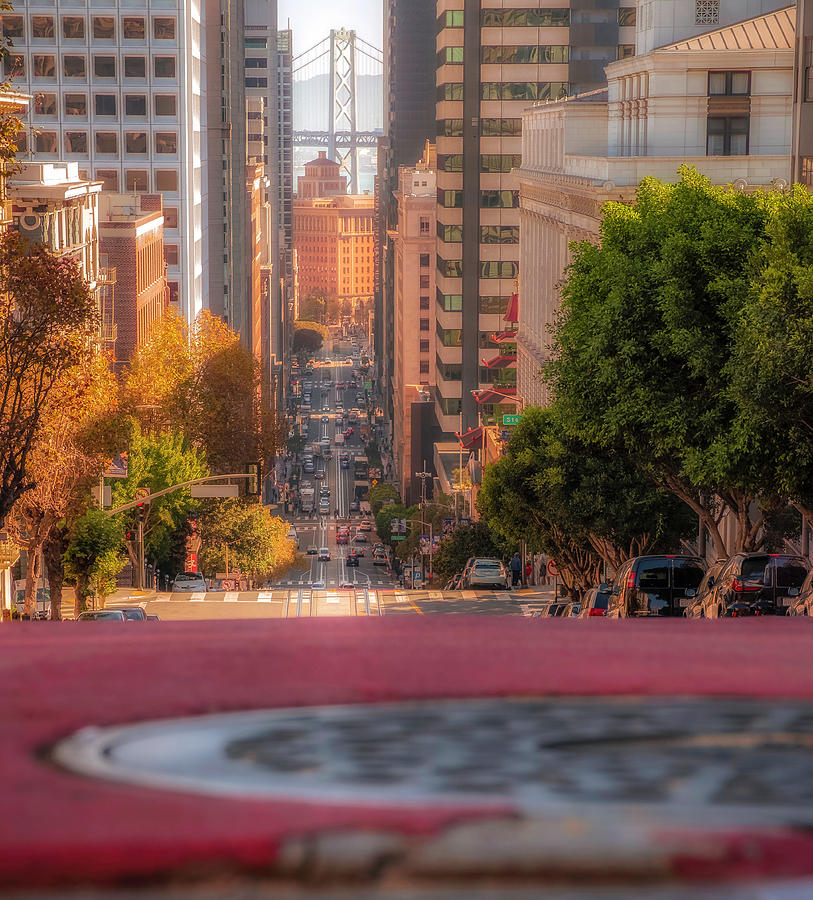 The View by JD Mims The View by JD Mims