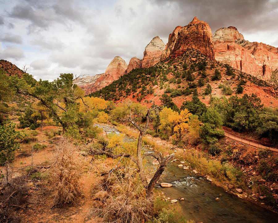 Zion National Park Photograph - The Watchman, Zion National Park #2 by Peter OReilly