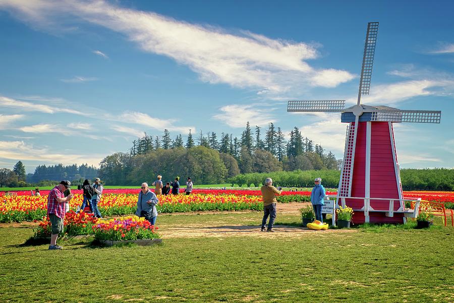 The Wooden Shoe Tulip Farm located in Woodburn, Oregon #2 Photograph by Kenneth Roberts