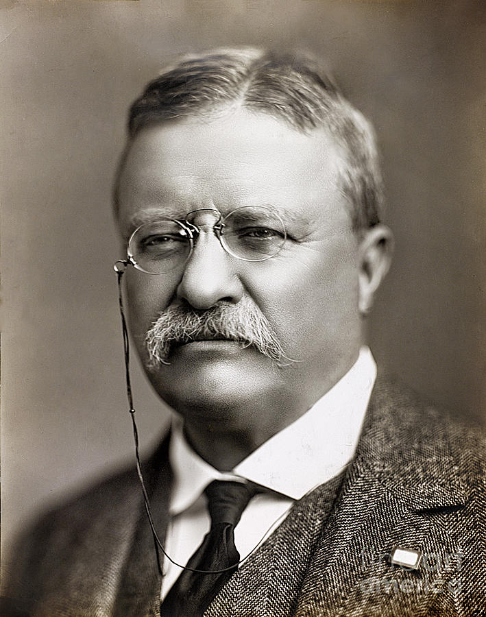 Theodore Roosevelt #1 Photograph by Carlos Diaz