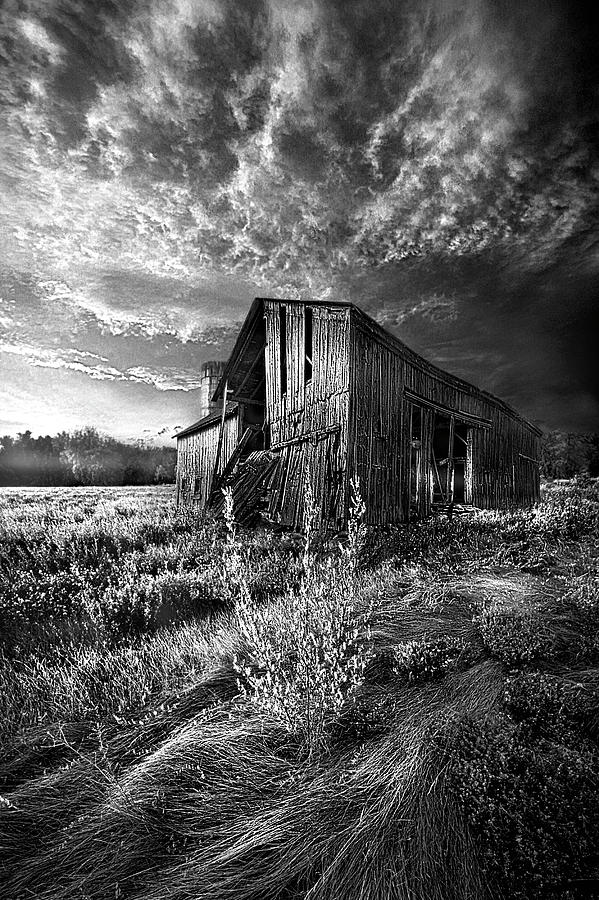 There Was A Time  #2 Photograph by Phil Koch