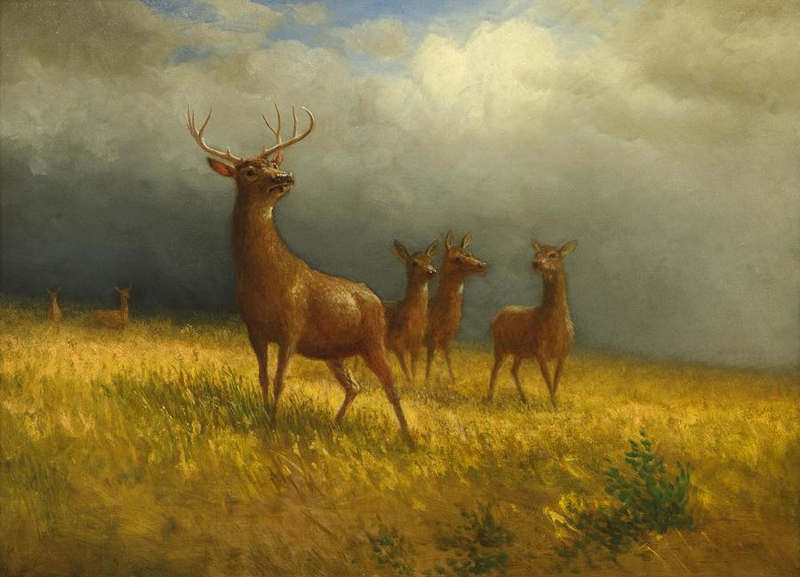 Three Deer and a Stag #3 Painting by Albert Bierstadt