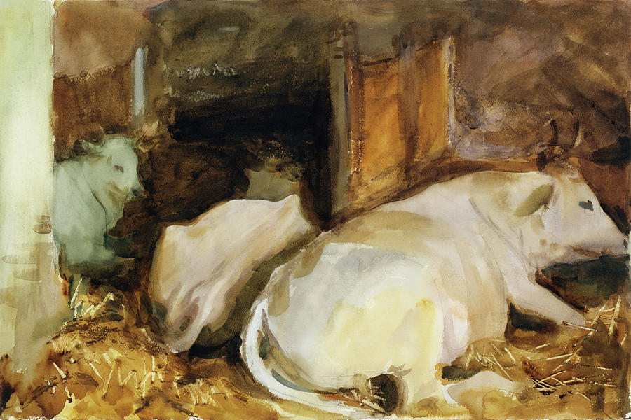 Three Oxen #3 Painting by John Singer Sargent