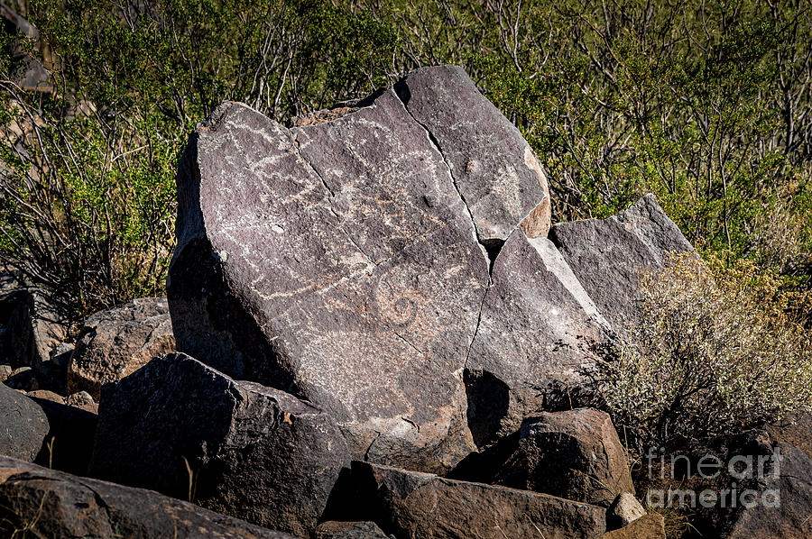 Three Rivers Petroglyphs #2 Photograph by Blake Webster