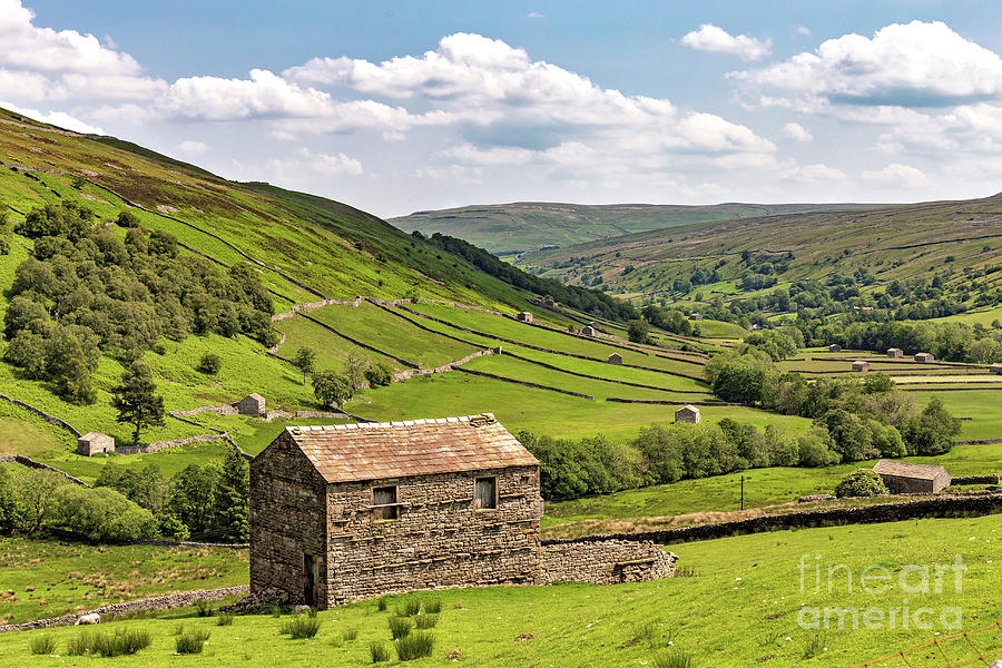 Thwaite, Swaledale #2 Photograph by Tom Holmes Photography