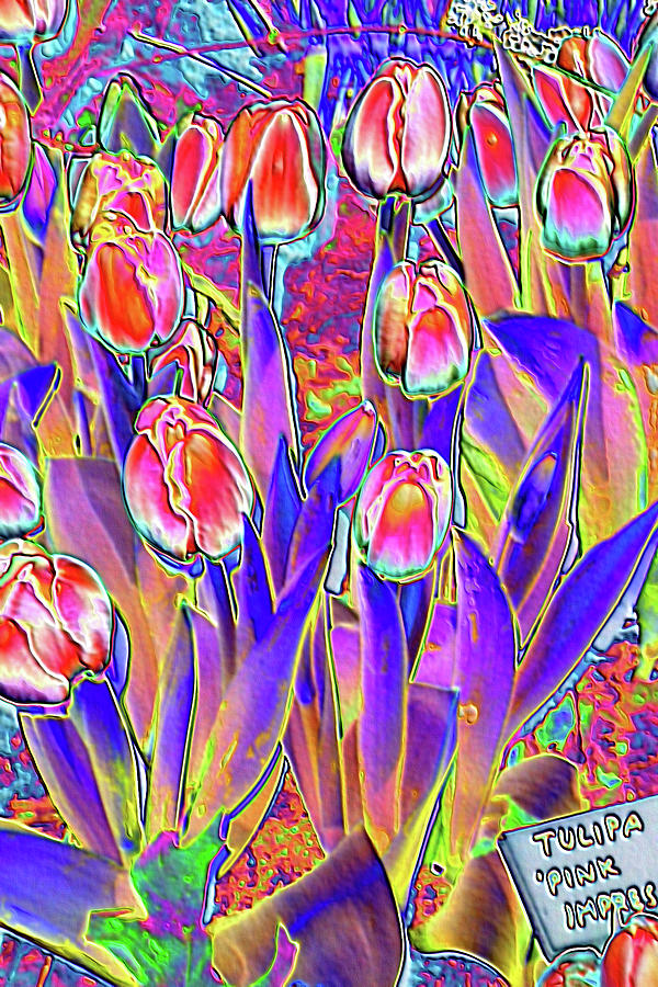 Tulip Digital Art - Tip Toe Thru the Tulips #2 by Vickie G Buccini