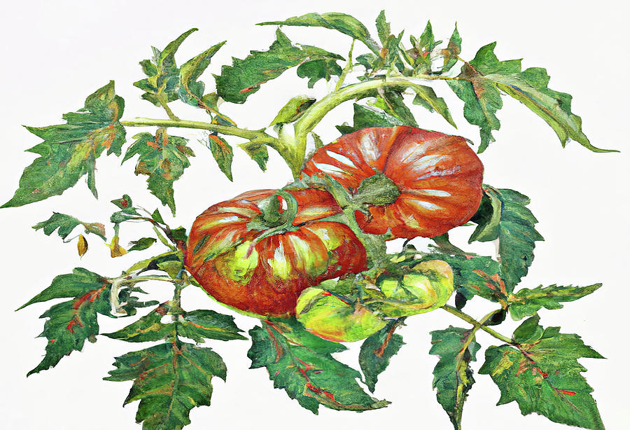 2 Tomatoes 2 B Digital Art by Cathy Anderson
