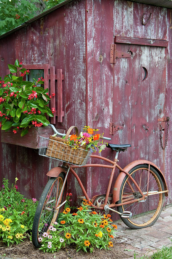 Tool Shed flowers Photograph by Daybreak Imagery - Fine Art America