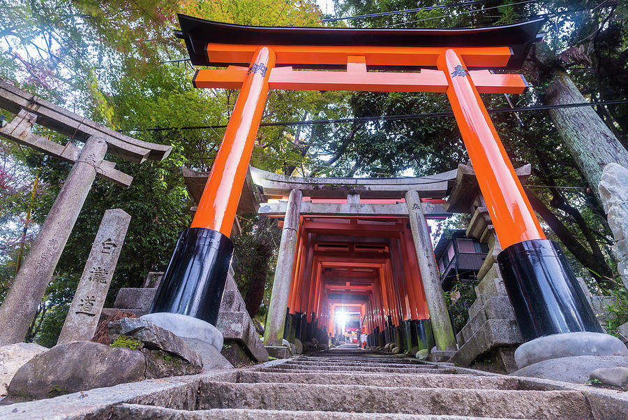 Tori gates in Japan Photograph by Visions Of Asia Visions of Asia ...