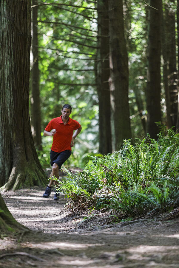 Trail running in evergreen forest #2 Photograph by Sawaya Photography