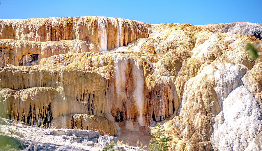 Travertine Terraces, Mammoth Hot Springs, Yellowstone #2 Photograph by Alex Grichenko