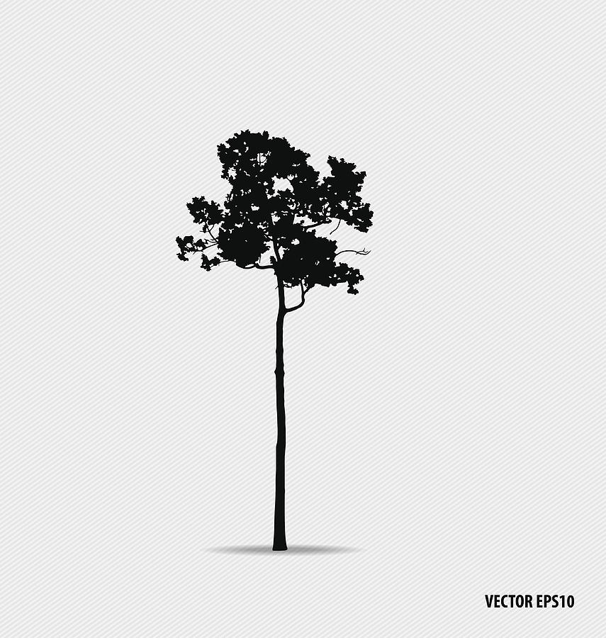 Tree silhouettes. Vector illustration. #2 Drawing by Jannoon028