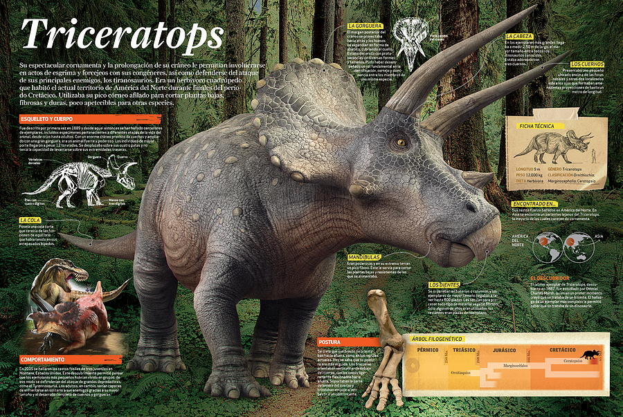 Triceratops #2 Digital Art by Album