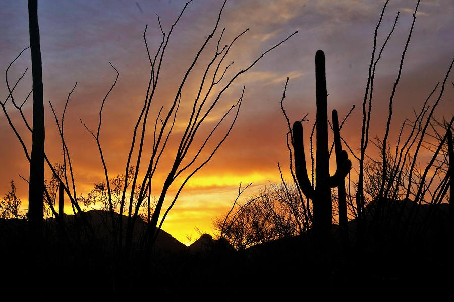 Tucson Arizona Sunset #2 Photograph by Dennis Boyd