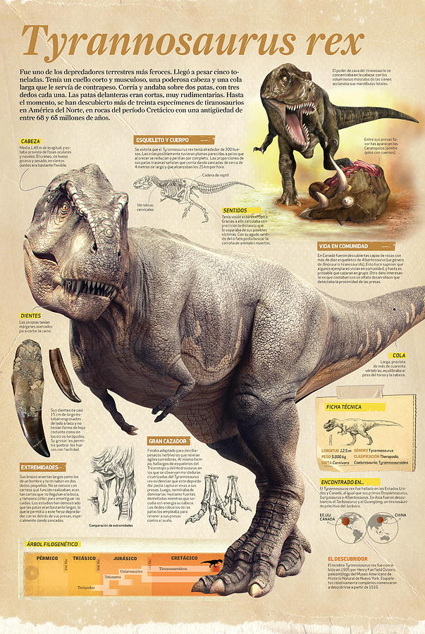 Tyrannosaurus rex #2 Digital Art by Album