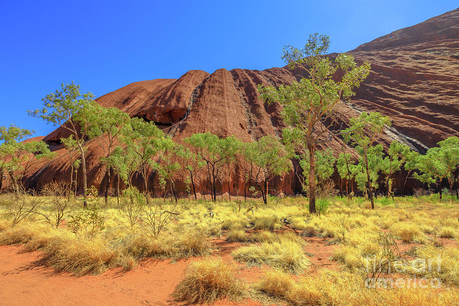 Uluru Base Walk Photograph By Benny Marty - Fine Art America