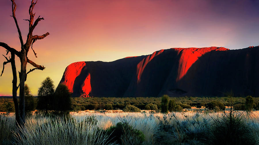 Uluru Sunrise #2 Photograph by Lexa Harpell