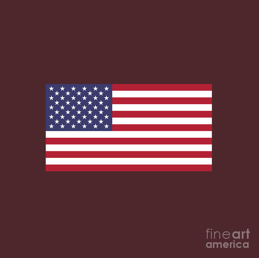 United States Flag Digital Art