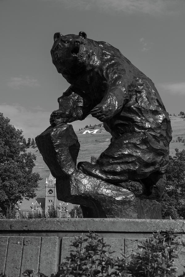 University of Montana Grizzly statue - Grand Griz in black and white #2 Photograph by Eldon McGraw