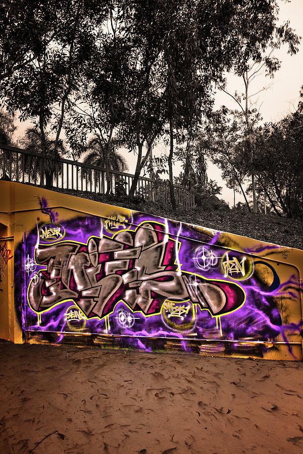 Urban Art Or Graffiti Photograph By Shane Bartie