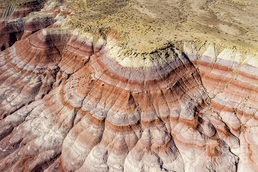 Utah Desert Photograph by Jim West