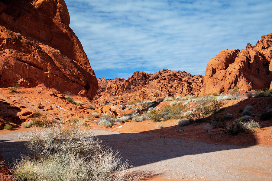 Valley of Fire - Contrast Photograph by Jonathan Babon
