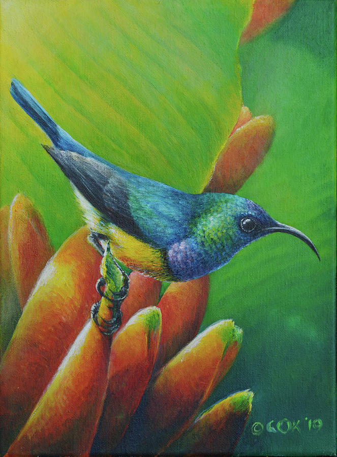 Variable Sunbird #1 Painting by Christopher Cox