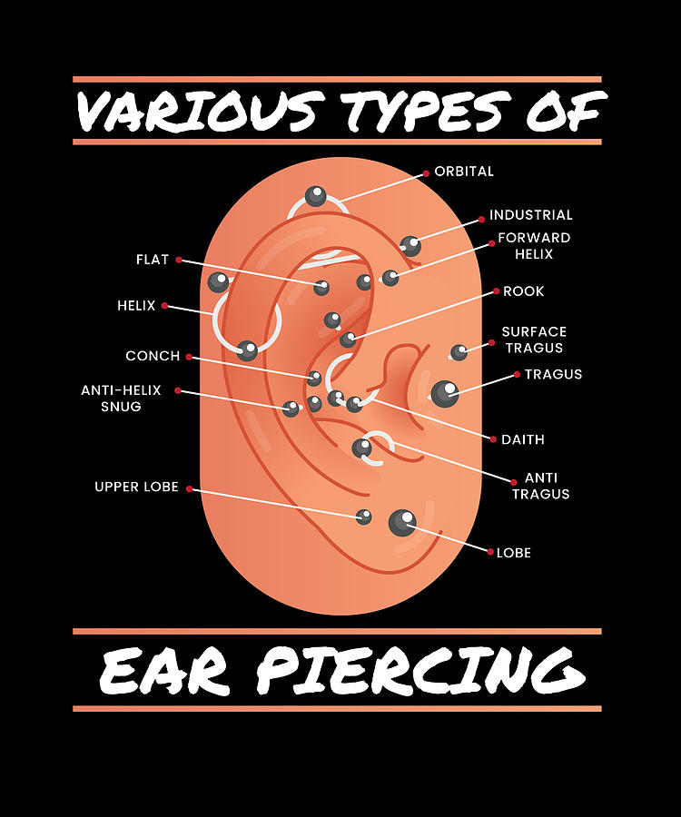 Various Types Of Ear Piercing Earring Digital Art by Mooon Tees - Fine ...