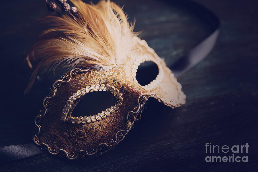 Vintage Photograph - Venetian mask #2 by Jelena Jovanovic