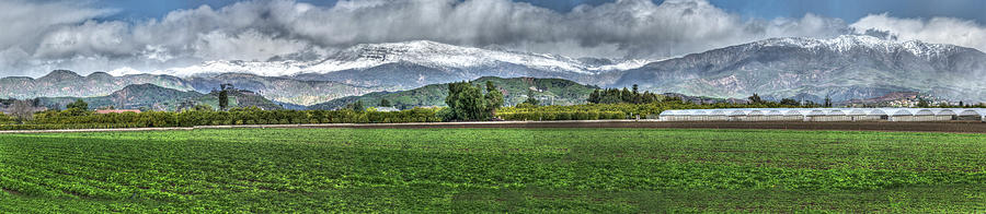 Ventura Snow #1 Photograph by Joe Palermo