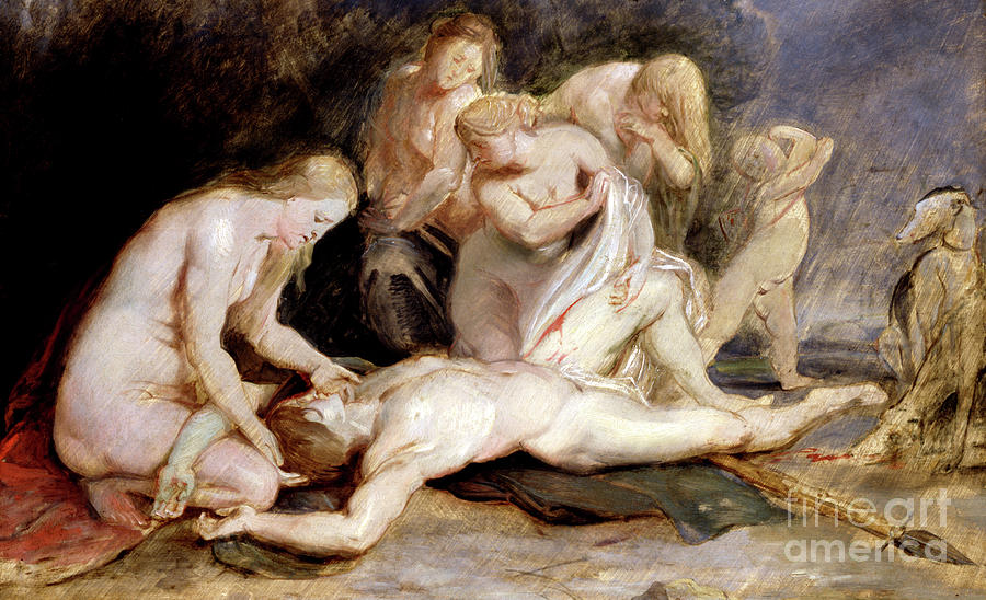 Venus Mourning Adonis Painting by Peter Paul Rubens