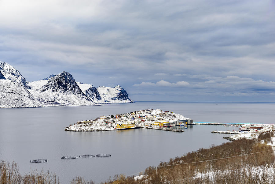 View on Husøy, Senja fishing village  in Øyfjorden in winter #2 Photograph by Sjo