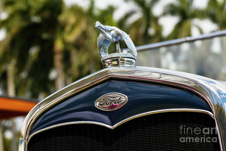 Vintage Ford Automobile #2 Photograph by Raul Rodriguez