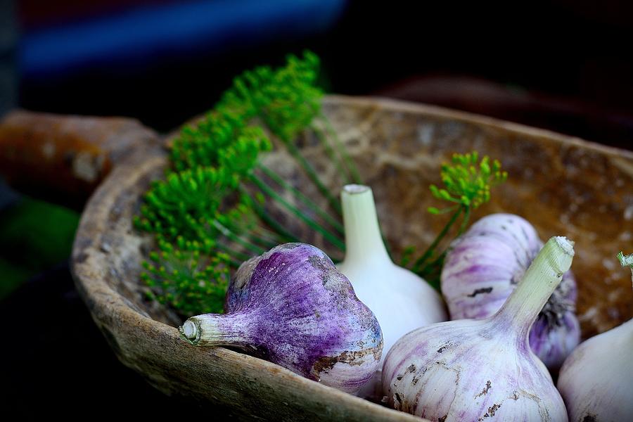 Violet  spring garlic rustic style #2 Photograph by AnnaIleysh