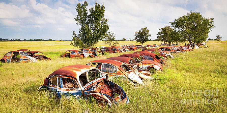 VW Graveyard #2 Photograph by Lawrence Burry