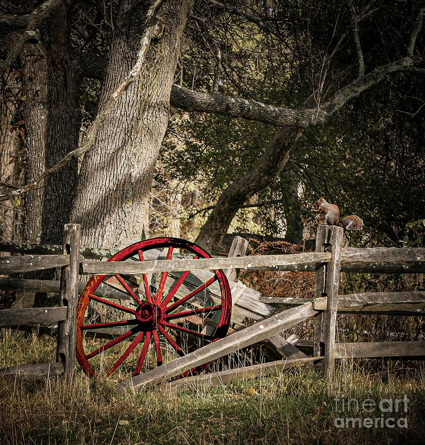 Nature Photograph - Wagon Wheel #2 by Meehow